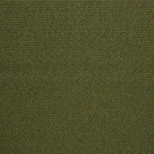 green plain woven fabric from Prestigious Textiles