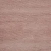 pink plain velvet-chenille fabric from Prestigious Textiles