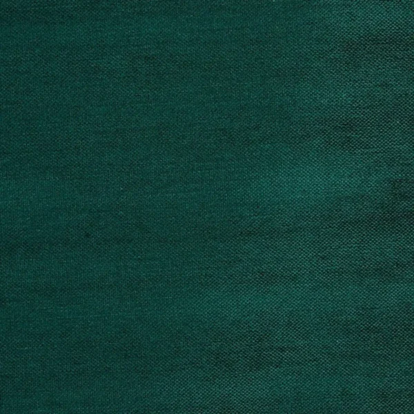Leon Fabric - Dragonfly by green plain velvet-chenille fabric from Prestigious Textiles