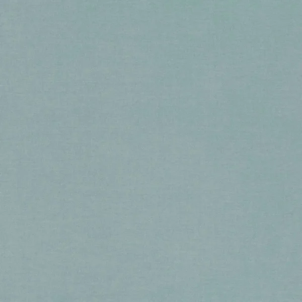 blue plain velvet-chenille fabric from Villa Nova