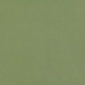 green plain velvet-chenille fabric from Villa Nova
