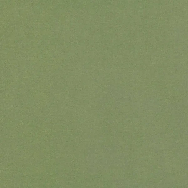 green plain velvet-chenille fabric from Villa Nova