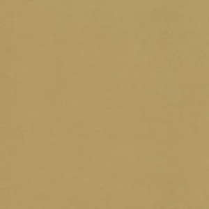 brown plain velvet-chenille fabric from Villa Nova