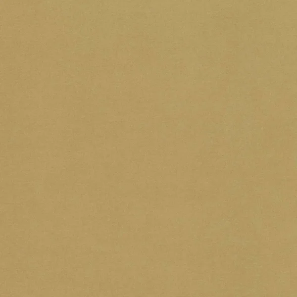 Atlantis Fabric - Gold by brown plain velvet-chenille fabric from Villa Nova