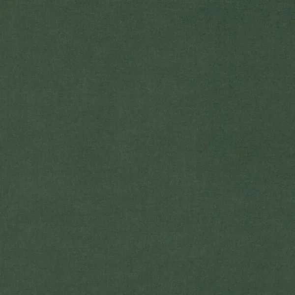 Atlantis Fabric - Holly by green plain velvet-chenille fabric from Villa Nova