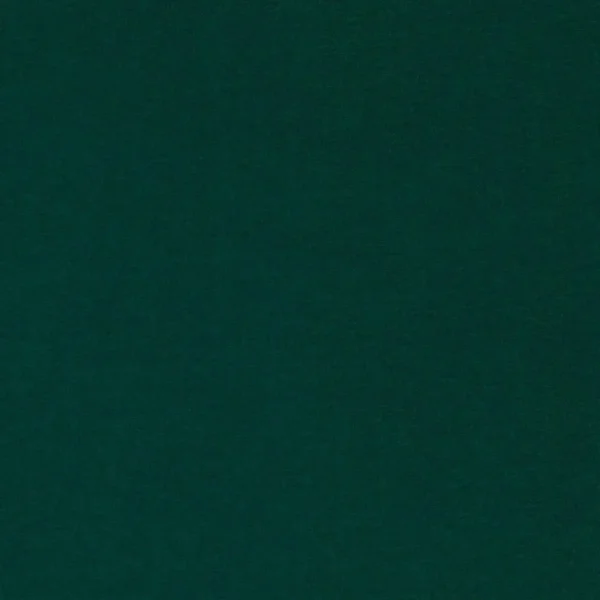 green plain velvet-chenille fabric from Villa Nova