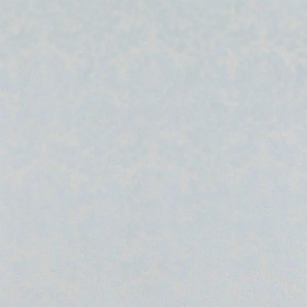 Daphne Fabric - Egg Shell by black-grey botanical jacquard fabric from Beaumont Textiles