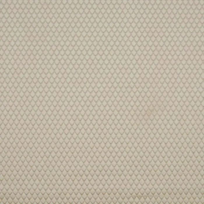 Adriana Fabric - Cream swatch