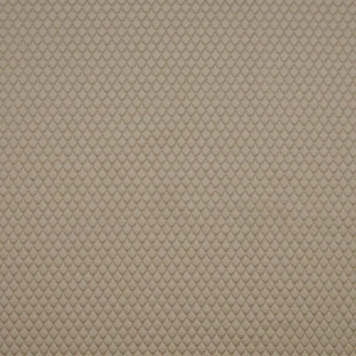 Adriana Fabric - Natural swatch
