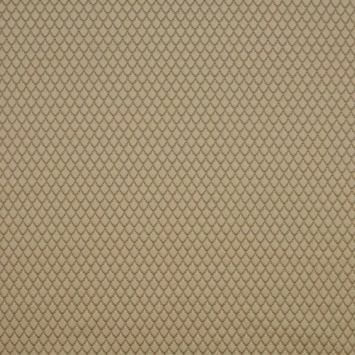 Adriana Fabric - Sandstone swatch