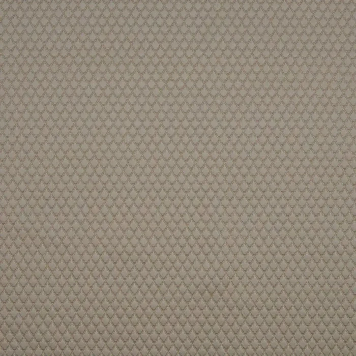 Adriana Fabric - Taupe swatch