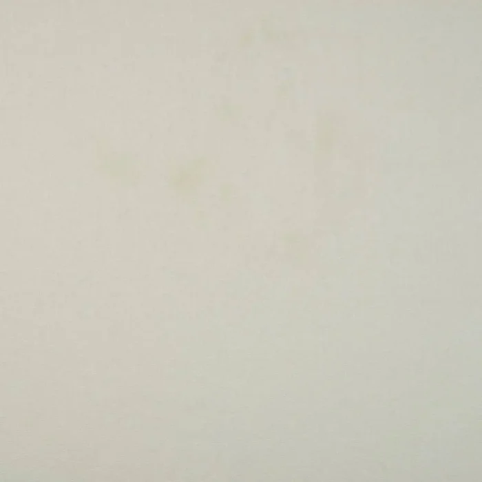 Nicole Fabric - Ivory swatch