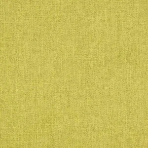 green plain woven fabric from Jane Churchill