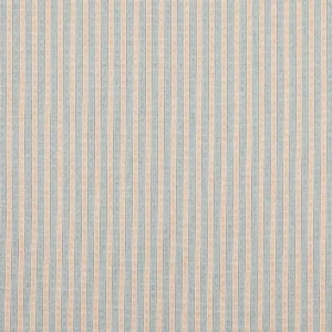 blue striped woven fabric from Jane Churchill
