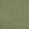 ely green fabric