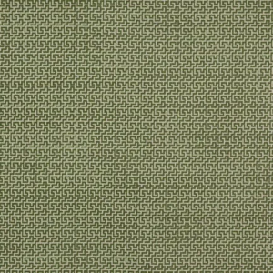 ely green fabric