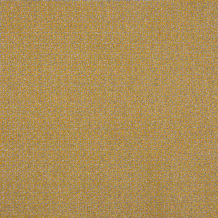 Ely Fabric - Yellow swatch