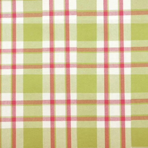Talla Check Fabric - Green / Pink by green checked cotton fabric from Jane Churchill