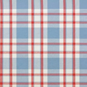 blue checked cotton fabric from Jane Churchill