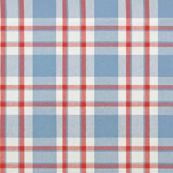 blue checked cotton fabric from Jane Churchill