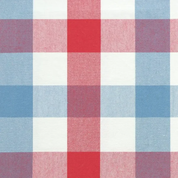 Kali Check Fabric - Red / Blue by blue checked cotton fabric from Jane Churchill