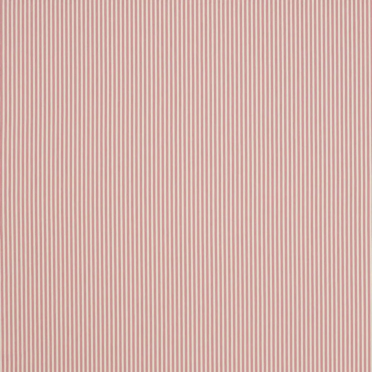 Arley Stripe Fabric - Pink by pink striped cotton fabric from Jane Churchill