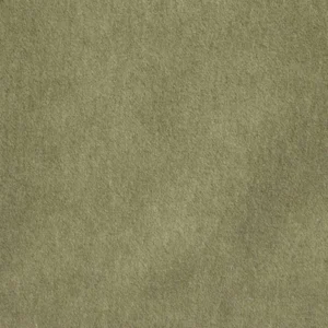green plain velvet-chenille fabric from Kai