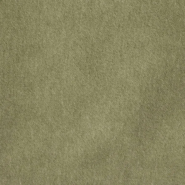 Savona Fabric - Aloe by green plain velvet-chenille fabric from Kai
