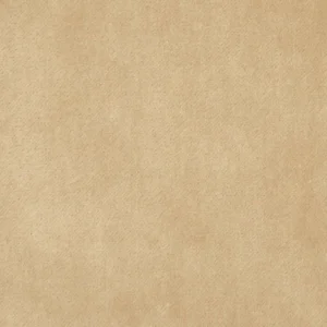 neutral plain velvet-chenille fabric from Kai