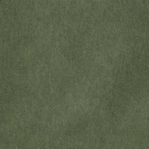 green plain velvet-chenille fabric from Kai