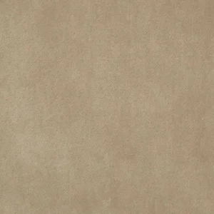 neutral plain velvet-chenille fabric from Kai