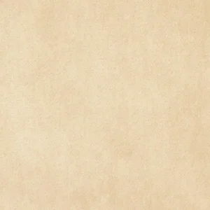 neutral plain velvet-chenille fabric from Kai