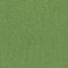 green plain woven fabric from Nina Campbell