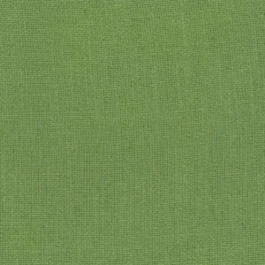 green plain woven fabric from Nina Campbell