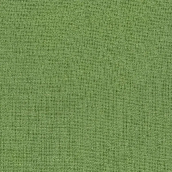 Colette Fabric - Green by green plain woven fabric from Nina Campbell