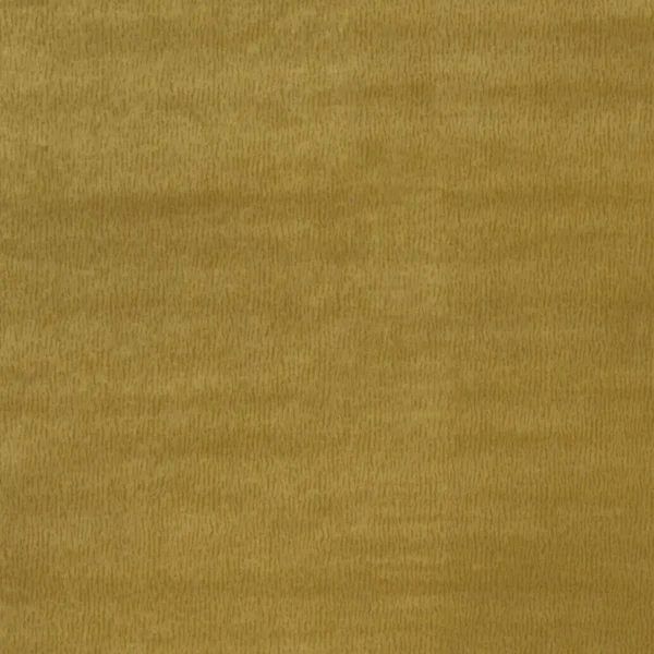 Bejart Fabric - Gold by yellow plain velvet-chenille fabric from Nina Campbell