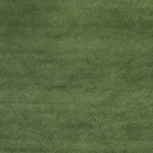 green plain velvet-chenille fabric from Nina Campbell