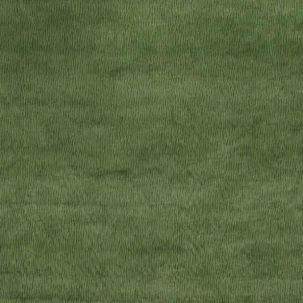 Bejart Fabric - Green by green plain velvet-chenille fabric from Nina Campbell