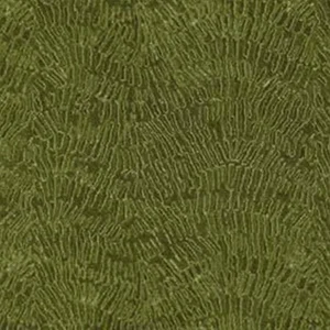 green misc jacquard fabric from Nina Campbell