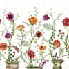 multicolour botanical voile-sheer fabric from Osborne & Little