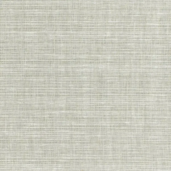 Cirrus Fabric - Ecru by neutral plain voile-sheer fabric from Osborne & Little