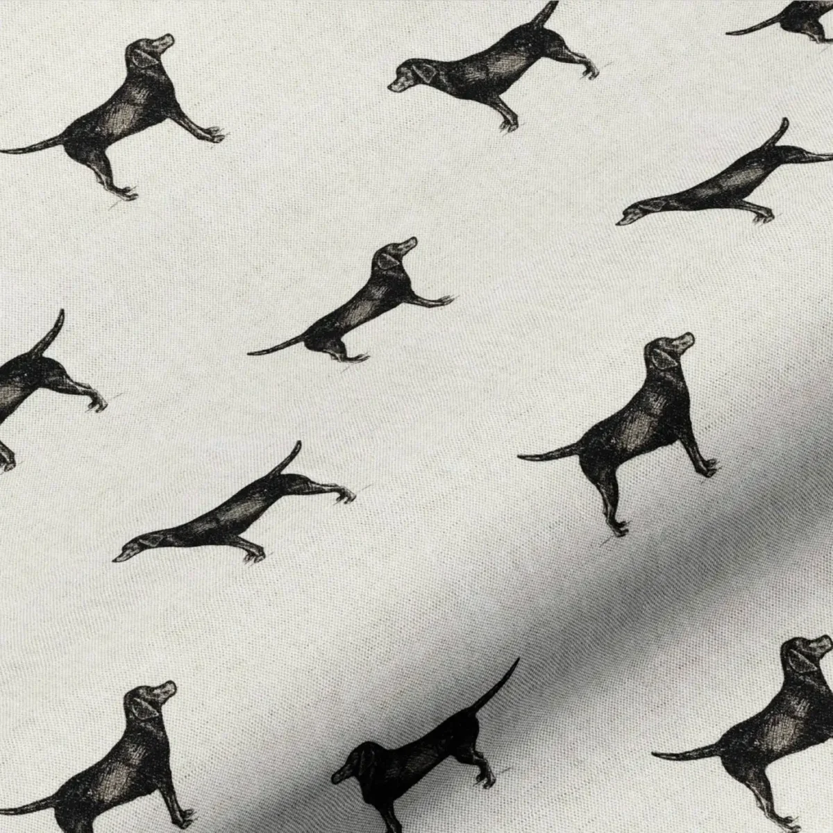 black labrador material