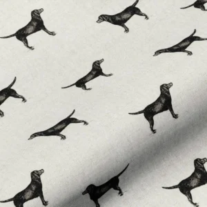 black labrador material