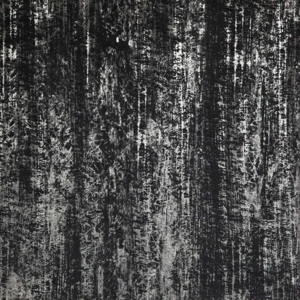 Cauca Fabric - Jet by black-grey misc velvet-chenille fabric from Wemyss