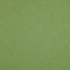 green plain woven fabric from Wemyss