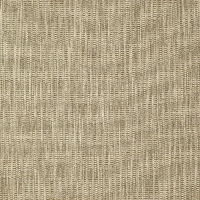 Lacerta Fabric - Biscuit swatch