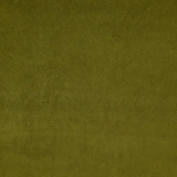 Riga Fabric - Herb by green plain velvet-chenille fabric from Wemyss