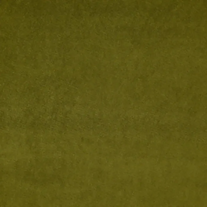 Riga Fabric - Herb swatch