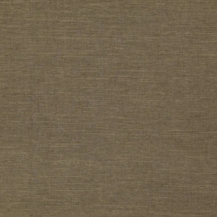 Riviera Fabric - Mocha swatch