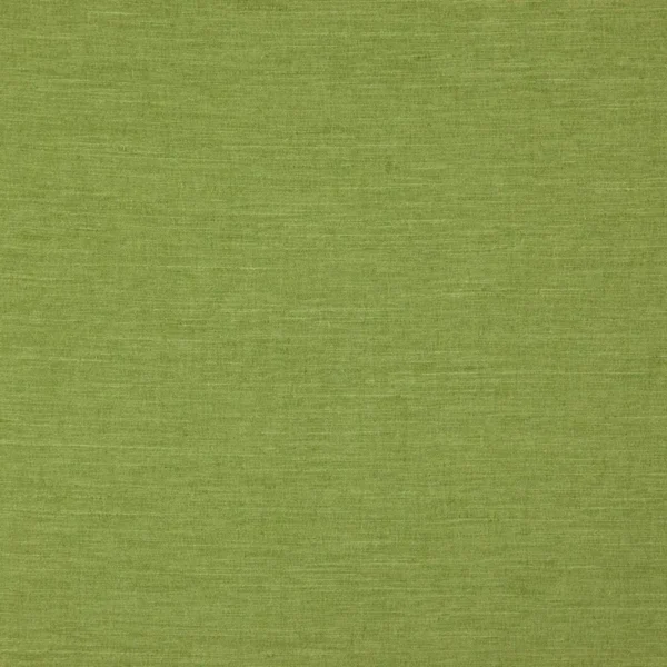 Riviera Fabric - Palm by green plain silk-satin fabric from Wemyss